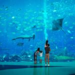 Dubai Aquarium at the Atlantis