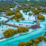 Abu Dhabi Mangroves National Park