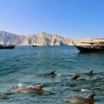 Musandam Dolphins Bay - Oman